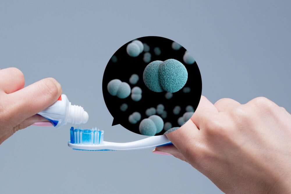 牙刷上的細菌不比馬桶少，如果沒有好好清潔牙刷、收納牙刷，細菌可是會暴增的